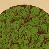 "Succulents" – Limited Edition Giclée Print