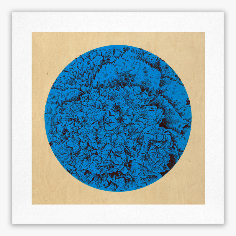"Hydrangea" – Limited Edition Giclée Print