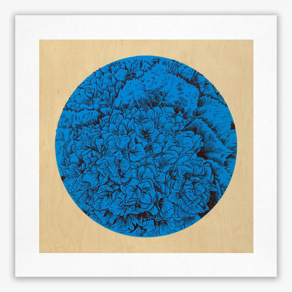 "Hydrangea" – Limited Edition Giclée Print