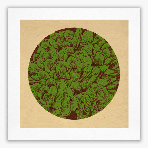 "Succulents" – Limited Edition Giclée Print