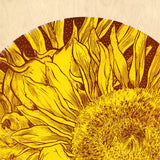 "Sunflower" Original